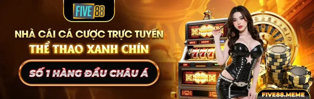 Đá gà trực tiếp và cá cược trên vnd789 app